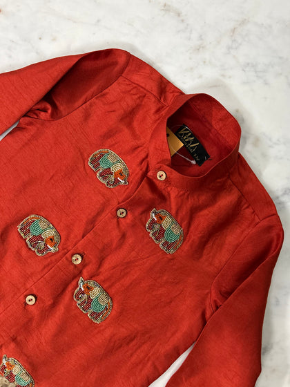 Elephant Parade Kurta Set
