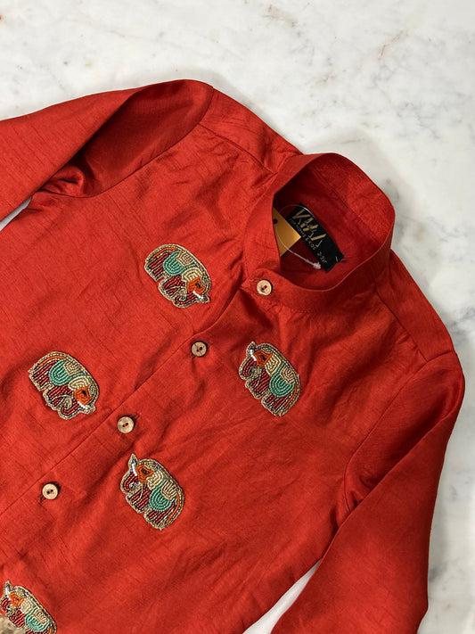 Elephant Parade Kurta Set
